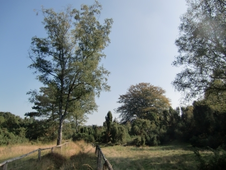 Schermbeck : Impressionen aus dem Naturschutzgebiet Loosenberge